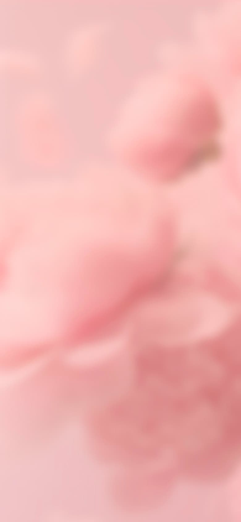 公開収録のお知らせ